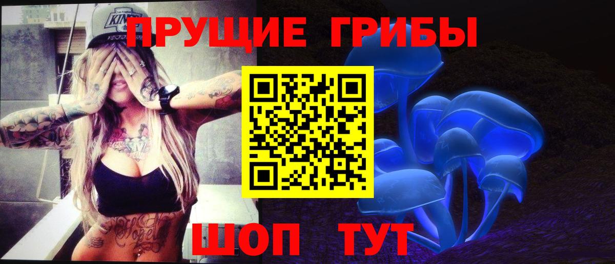 Галлюциногенные грибы GOLDEN TEACHER Тверь
