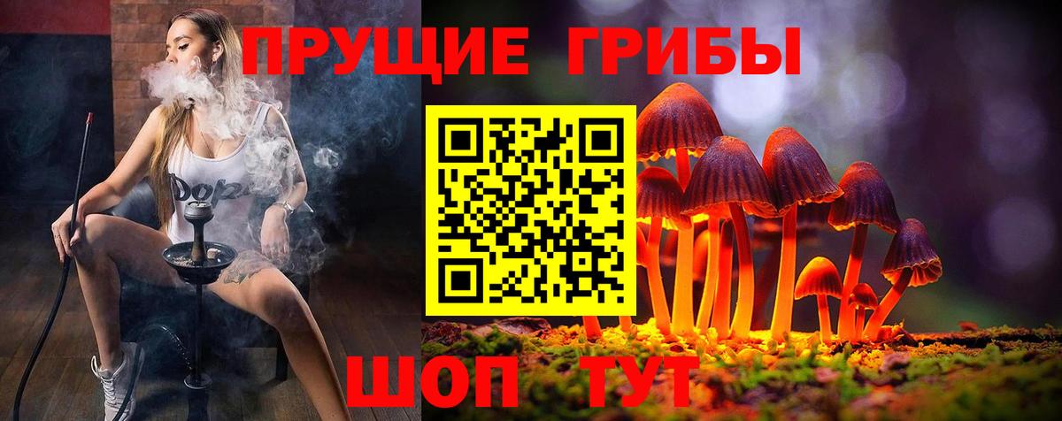Галлюциногенные грибы Cubensis  Псилоцибиновые грибы Psilocybine cubensis  Вход с VPN  Тверь 